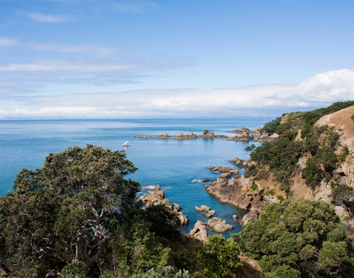 Day Trips from Auckland