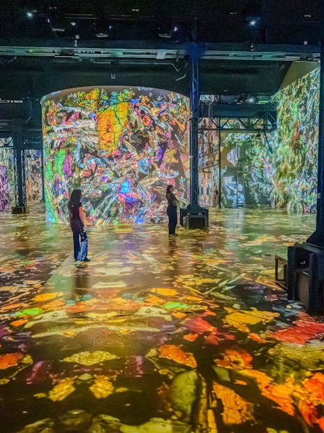 Immersive digital art display at The Moonwalkers Exhibition, Atelier des Lumières, Paris.