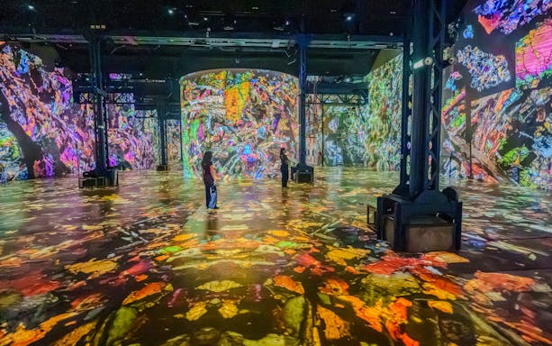 Immersive digital art display at The Moonwalkers Exhibition, Atelier des Lumières, Paris.