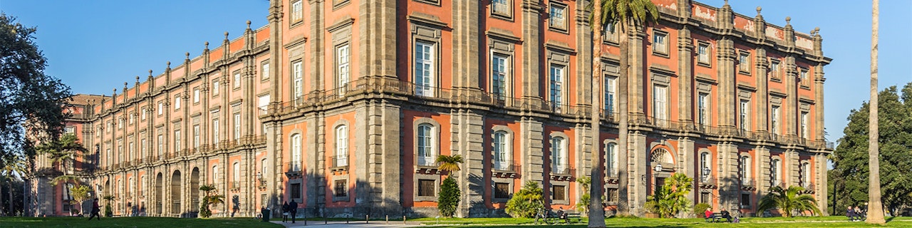 Biglietto ad accesso riservato al Museo di Capodimonte