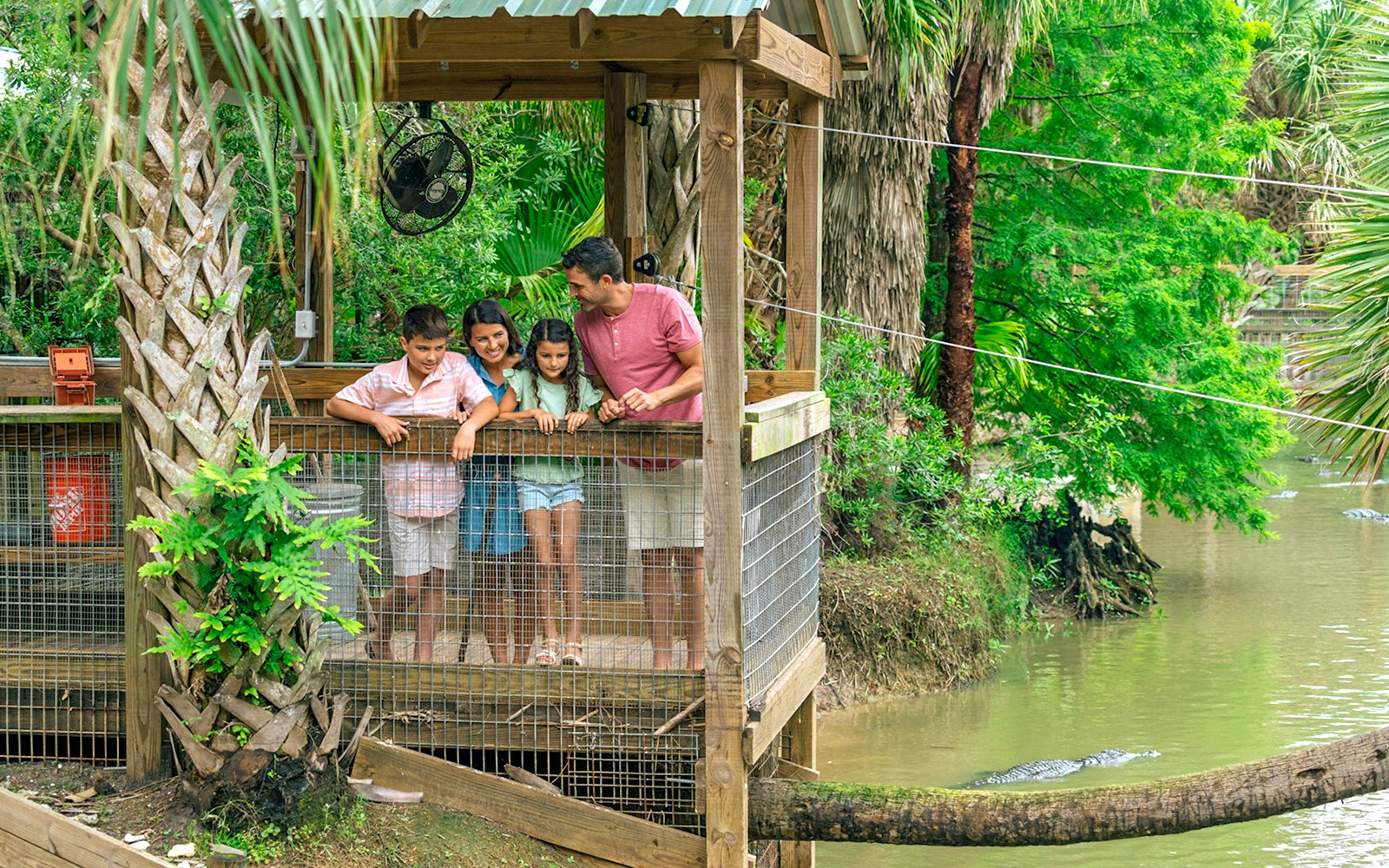 Guests observing alligators from a wooden platform in Everglades wildlife park.