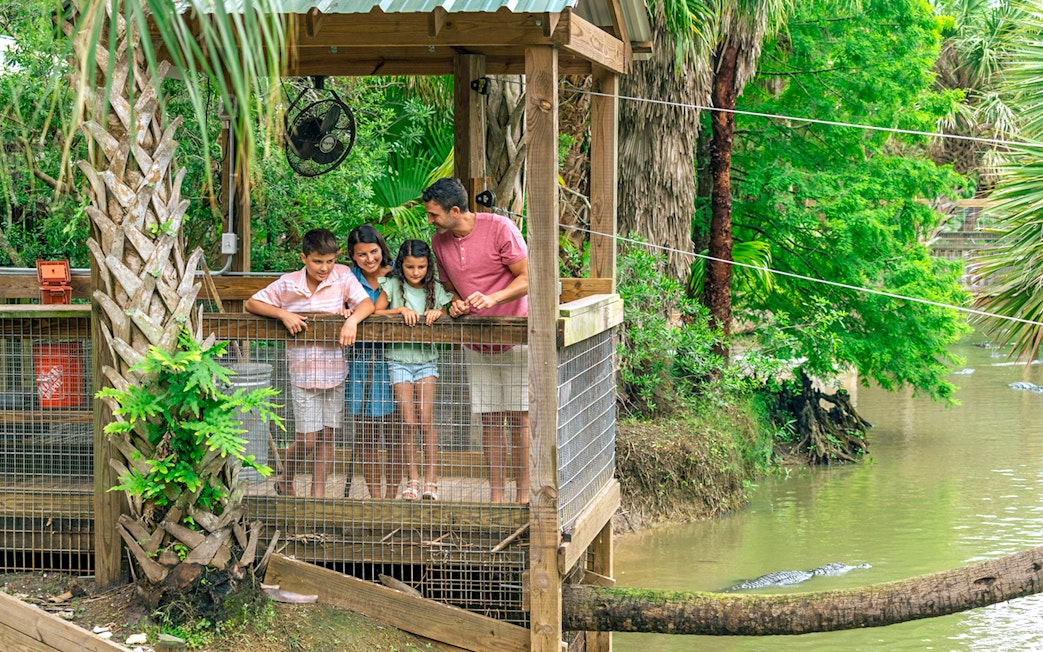 Guests observing alligators from a wooden platform in Everglades wildlife park.