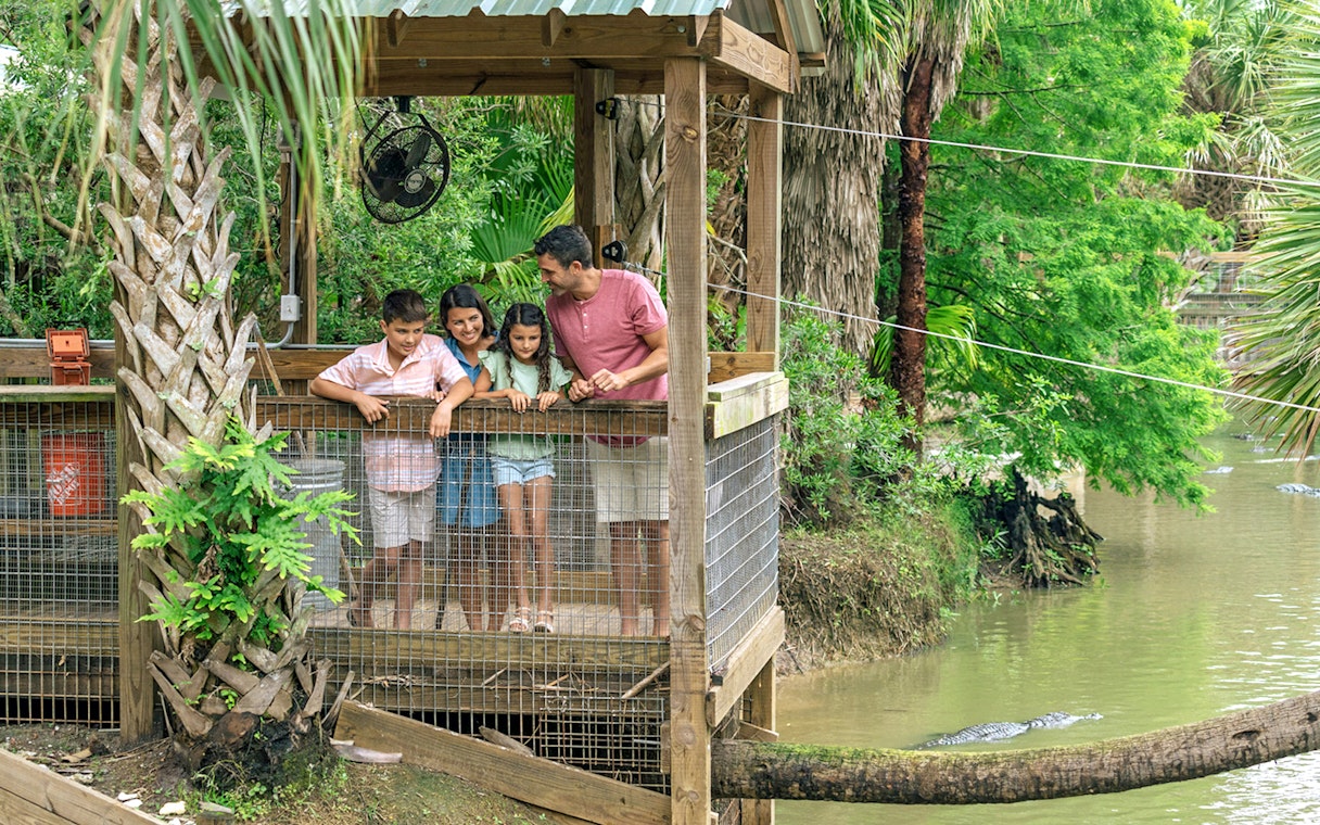 Guests observing alligators from a wooden platform in Everglades wildlife park.