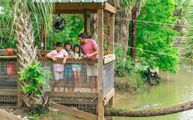 Guests observing alligators from a wooden platform in Everglades wildlife park.