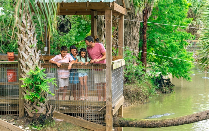 Guests observing alligators from a wooden platform in Everglades wildlife park.