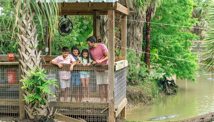 Guests observing alligators from a wooden platform in Everglades wildlife park.