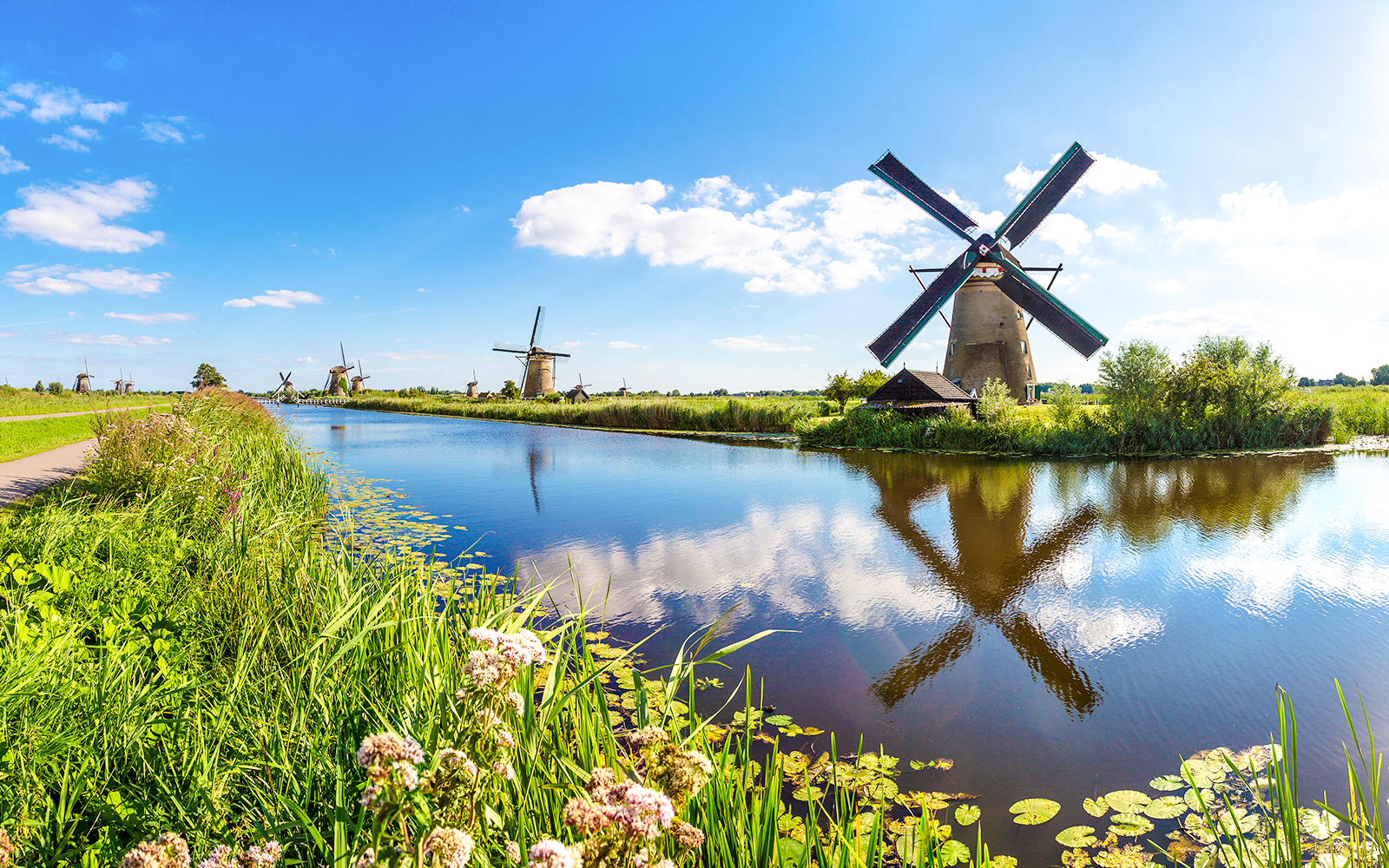 Windmills along a canal in Kinderdijk, Netherlands.