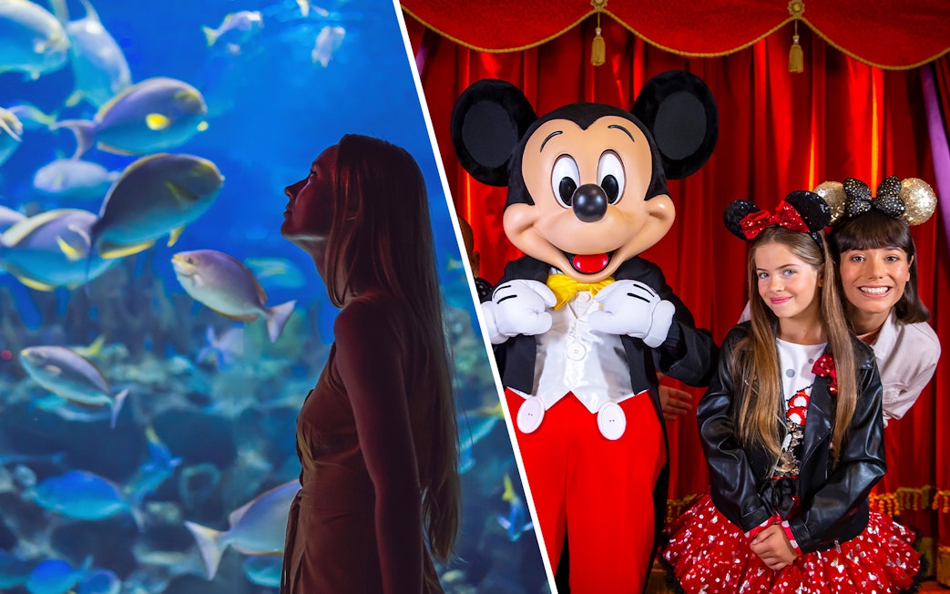 Aquarium de Paris visitor observing fish; Disneyland Paris guests with character.