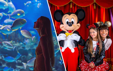 Aquarium de Paris visitor observing fish; Disneyland Paris guests with character.