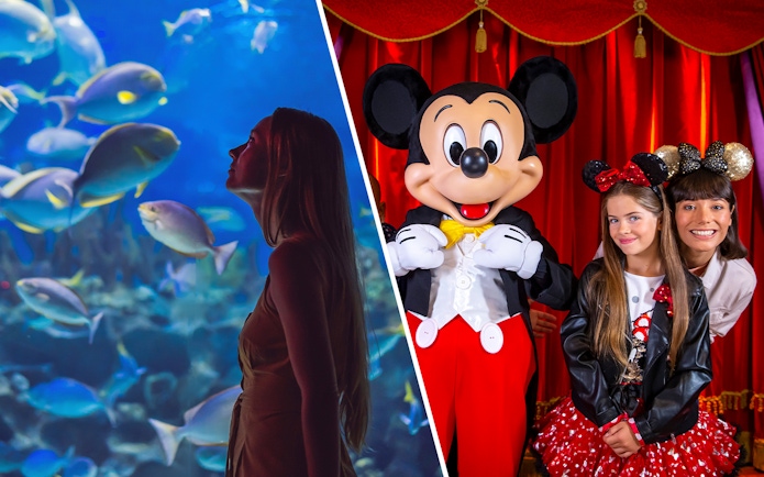 Aquarium de Paris visitor observing fish; Disneyland Paris guests with character.