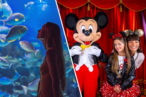 Combo: Acquario di Parigi + Biglietti per Disneyland Paris