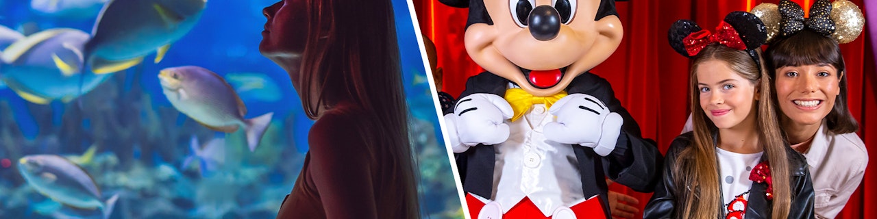 Combo: Acquario di Parigi + Biglietti per Disneyland Paris