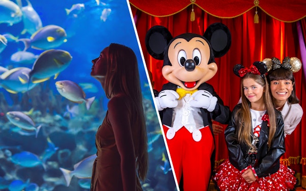 Combo: Paris Aquarium + Disneyland Paris Tickets
