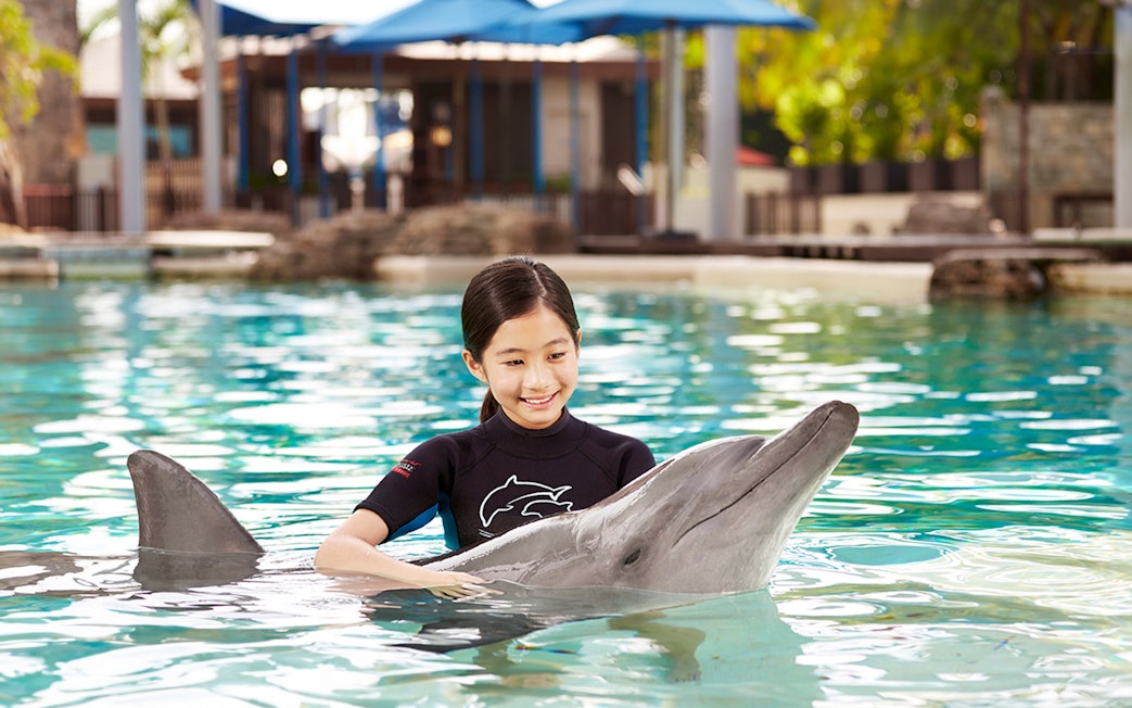 Girl interacting with dolphin at Dolphin Island, Resorts World Sentosa.