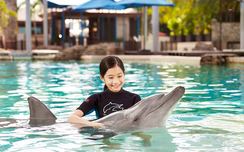 Girl interacting with dolphin at Dolphin Island, Resorts World Sentosa.