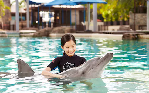 Girl interacting with dolphin at Dolphin Island, Resorts World Sentosa.