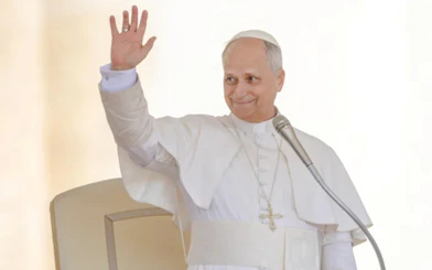 Papal Audience Tickets with Hotel Delivery in Rome