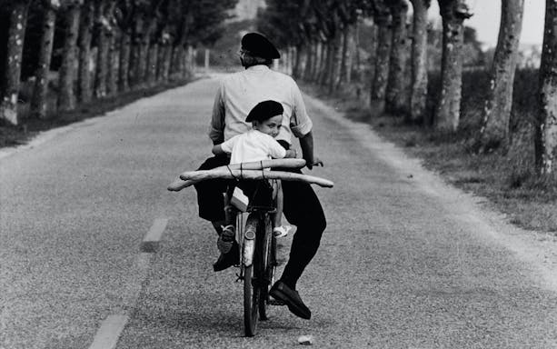 Man and child on bicycle with baguettes, tree-lined road, Florence exhibition.