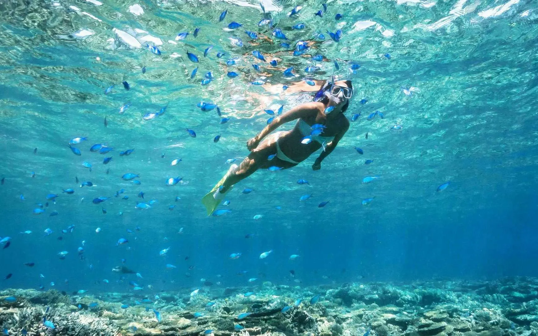 Snorkeler among fish in clear waters during Ibiza to Formentera cruise.