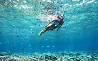 Snorkeler among fish in clear waters during Ibiza to Formentera cruise.