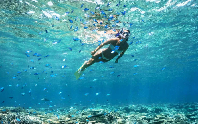 Snorkeler among fish in clear waters during Ibiza to Formentera cruise.