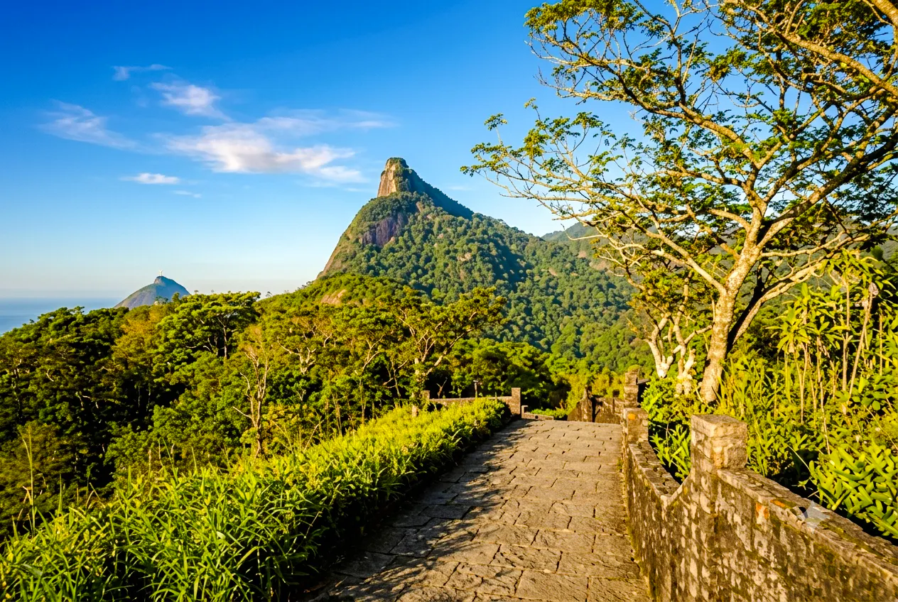 Tijuca Forest Guided Tour with Round-Trip Hotel Transfers Image 9