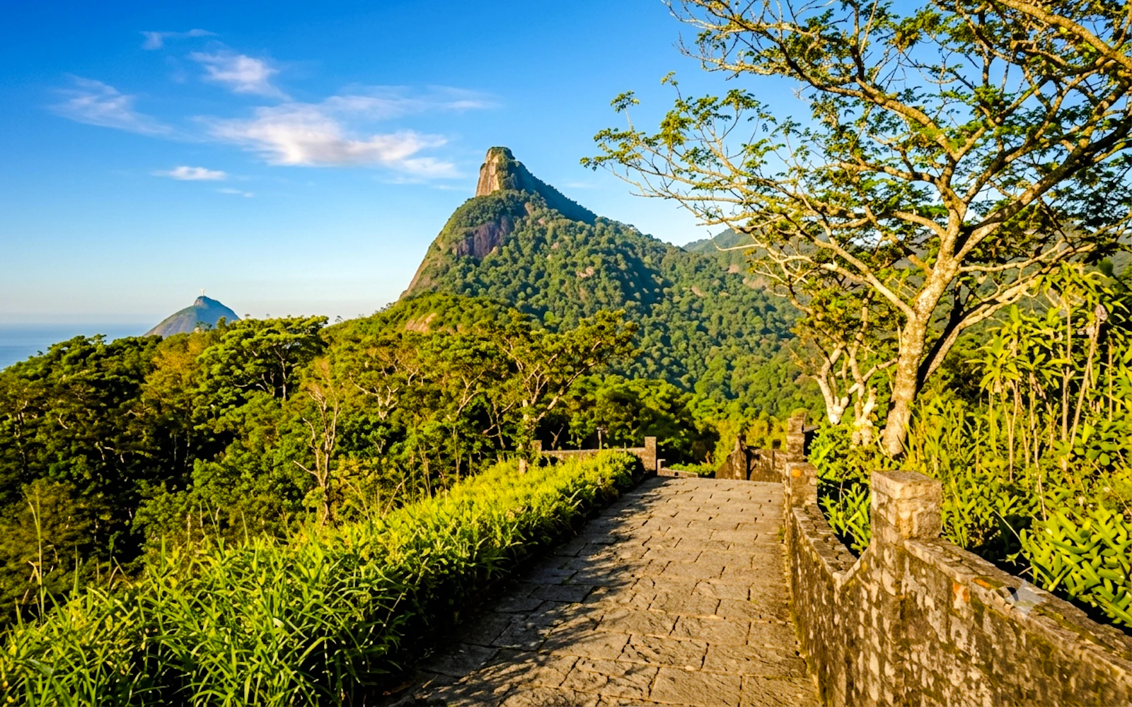 Tijuca Forest Guided Tour with Round-Trip Hotel Transfers Image 9