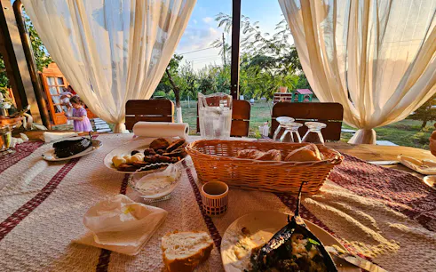 saindo de constanta: passeio de um dia às fortalezas de carsium e capidava, com almoço e degustação de vinhos-1