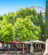 Barrio de las letras