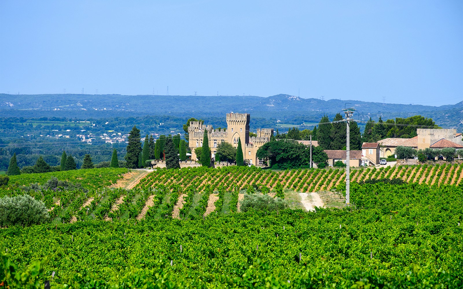 Wine Tours in Provence