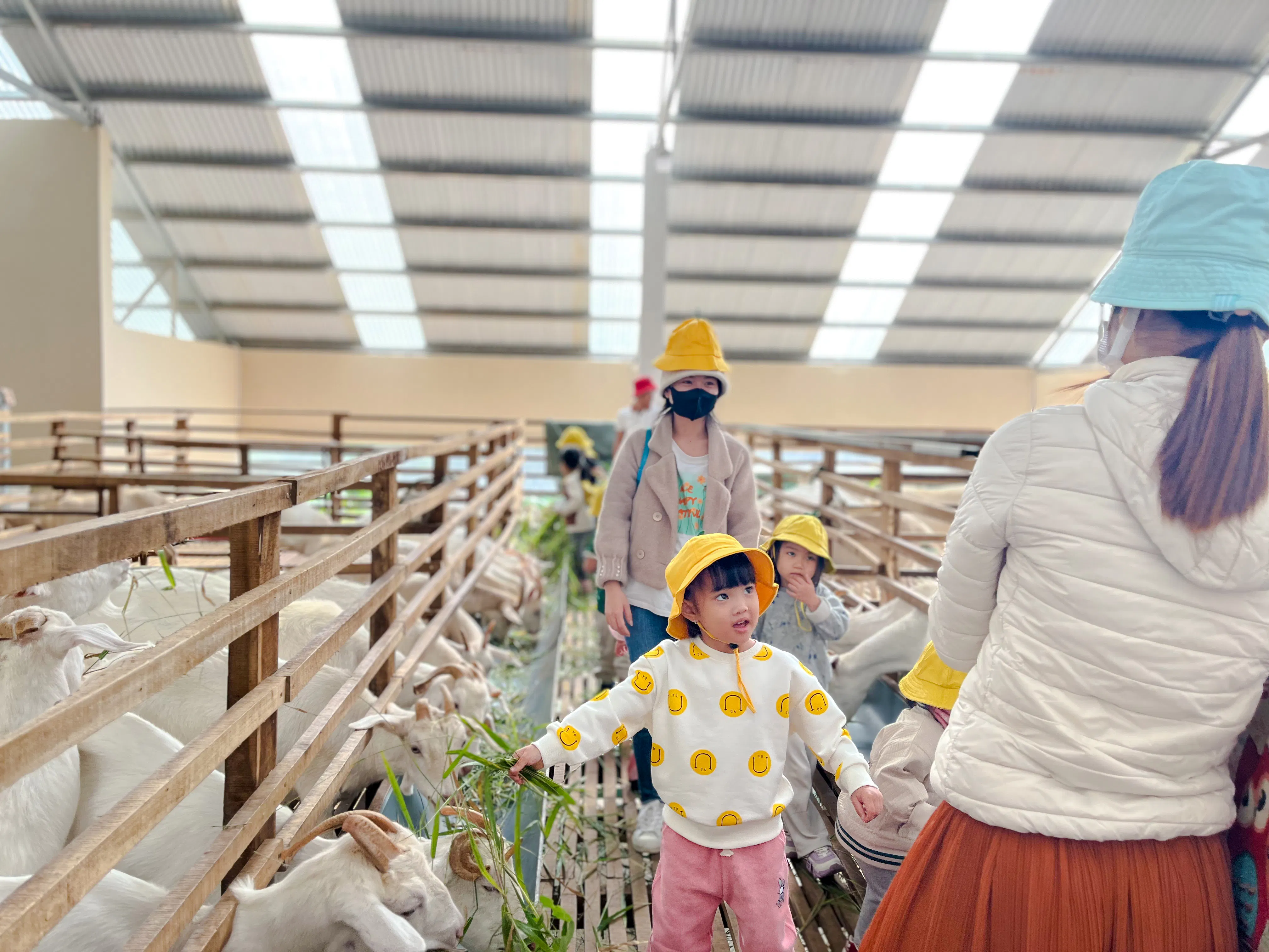 dalat goat farm experience: trekking, baby goats, baking & farm lunch-1