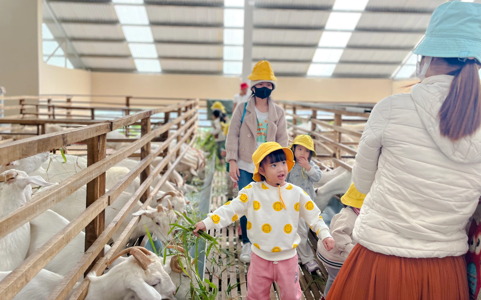 Dalat Goat Farm Tour with Forest Trek, Baby Goats, Baking Workshop and Lunch (Product 54305)