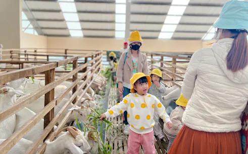 dalat goat farm experience: trekking, baby goats, baking & farm lunch-1
