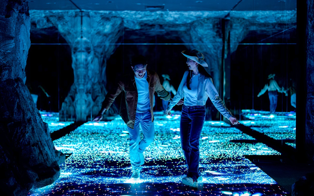 Tourists enjoying interactive light displays at Enchanted Forest.