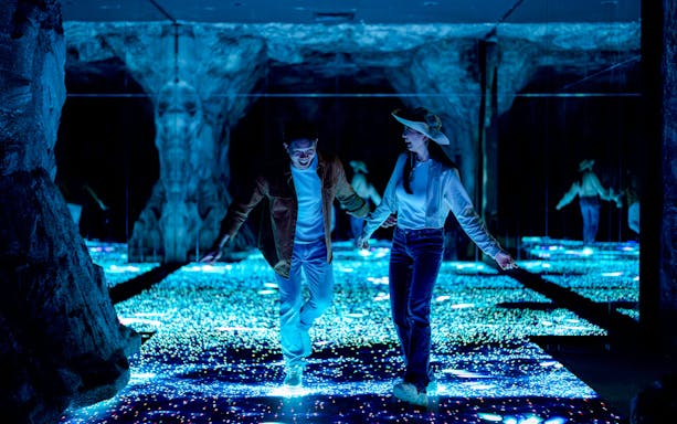 Tourists enjoying interactive light displays at Enchanted Forest.