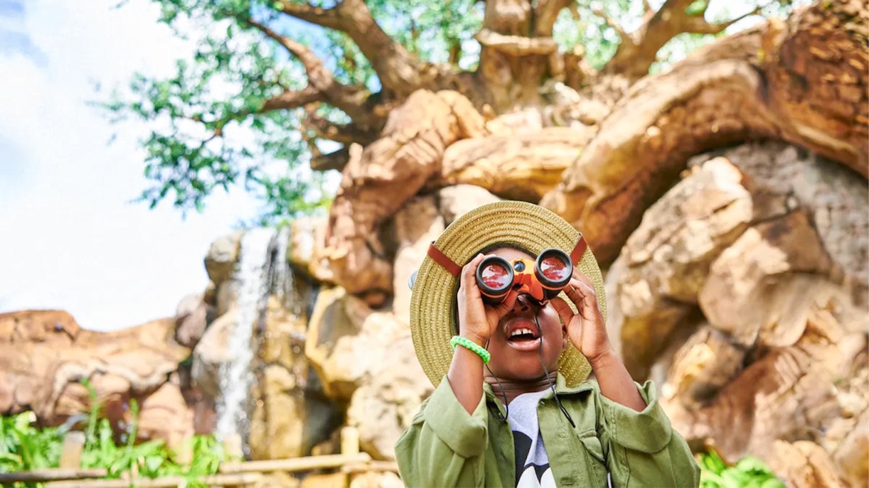 Child using binoculars at Animal Kingdom Theme Park, Walt Disney World, Orlando.