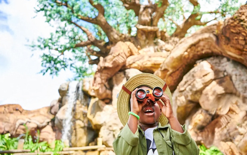 Child using binoculars at Animal Kingdom Theme Park, Walt Disney World, Orlando.
