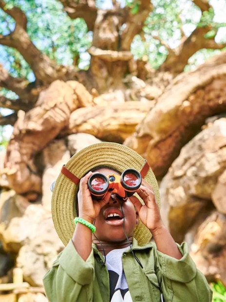 Child using binoculars at Animal Kingdom Theme Park, Walt Disney World, Orlando.
