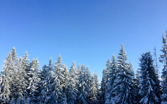 von krakau aus: tagesausflug nach zakopane mit fahrt mit der gubalowka-seilbahn sowie käse- und wodka-verkostung-6