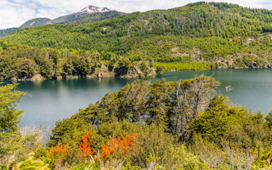 Viewpoint overlooking a lake along the Seven Lakes Route in Patagonia, surrounded by lush greenery.