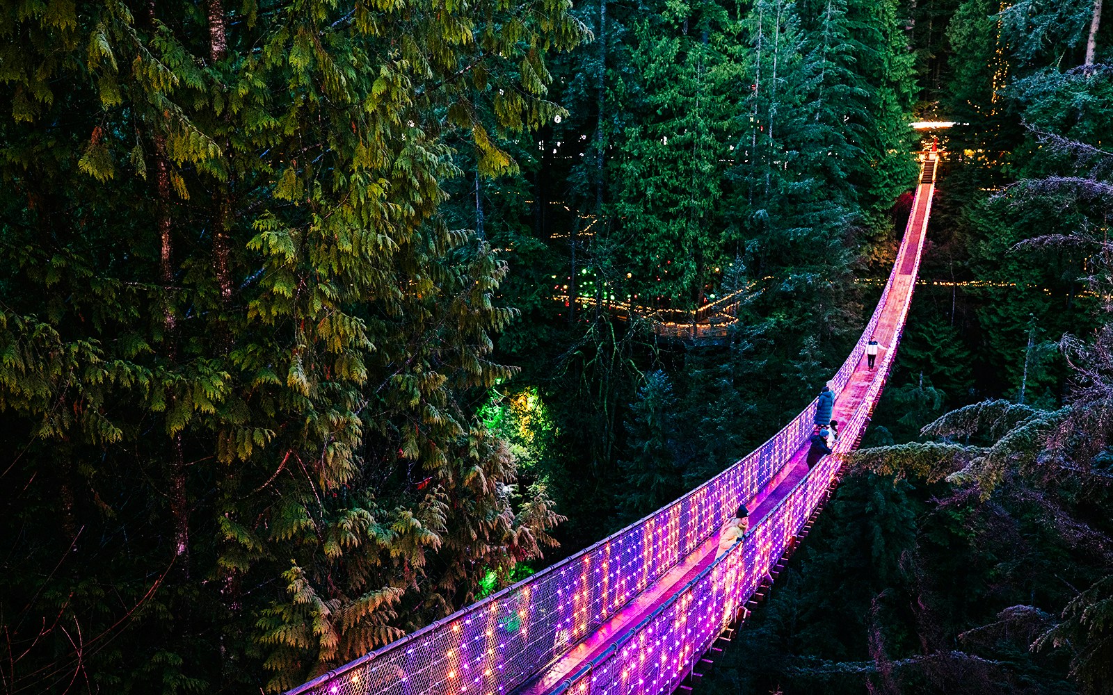 Visitors crossing illuminated Capilano Suspension Bridge at night, surrounded by forest.