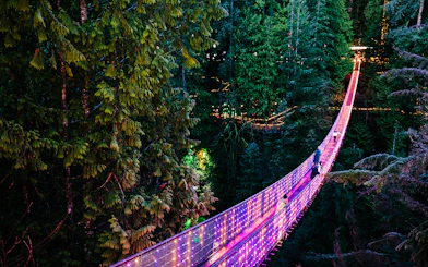 Visitors crossing illuminated Capilano Suspension Bridge at night, surrounded by forest.