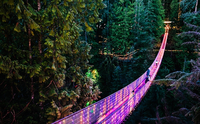 Visitors crossing illuminated Capilano Suspension Bridge at night, surrounded by forest.