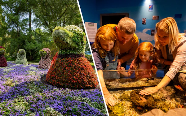 Combo: Mainau Flower Island + SEA LIFE Konstanz Entry Tickets
