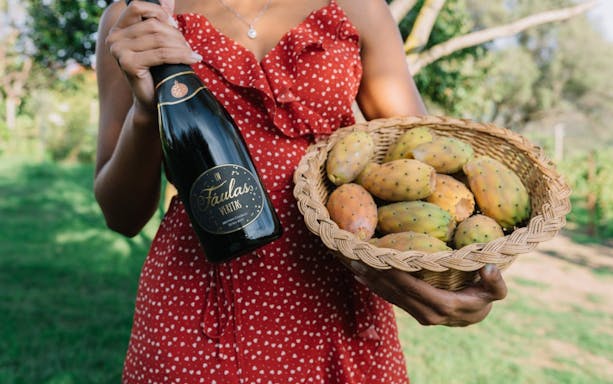 geführte tour durch das weingut gallura mit weinprobe von 3 lokalen weinen und sardischen häppchen in olbia-3