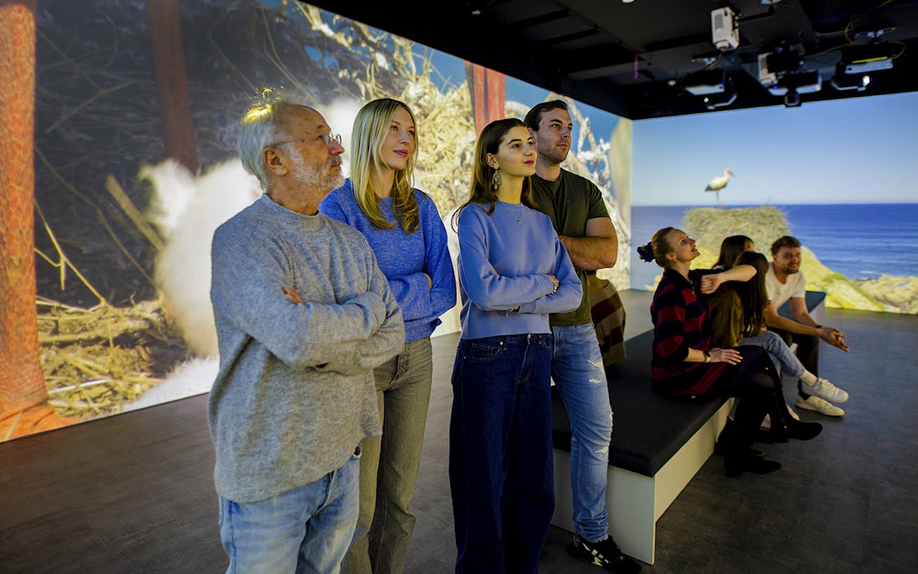 Visitors observing wildlife projections in the Planet Wildlife Immersive 360 Room Exhibit.