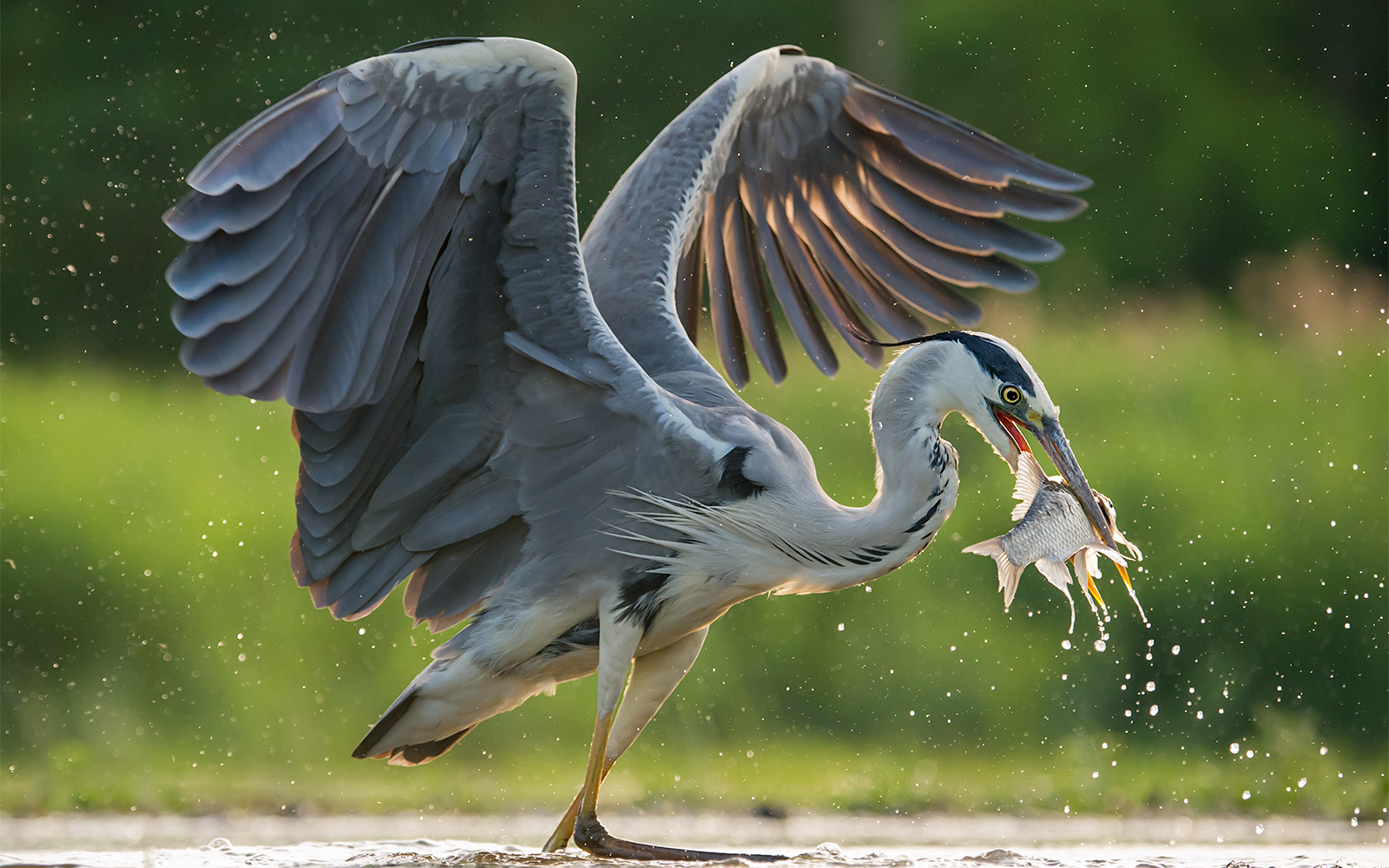 Payah Indah Discovery Wetlands