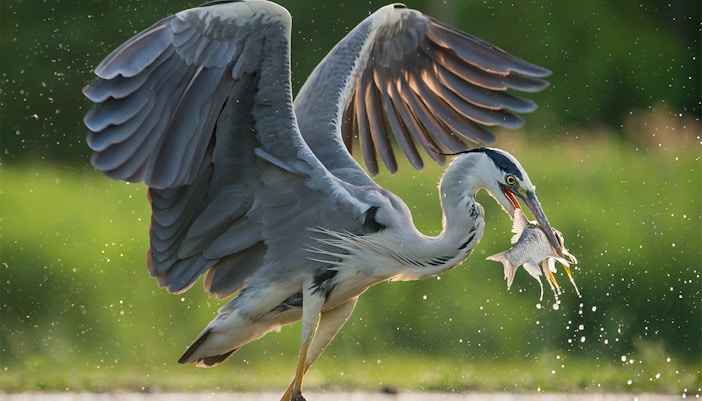 Payah Indah Discovery Wetlands