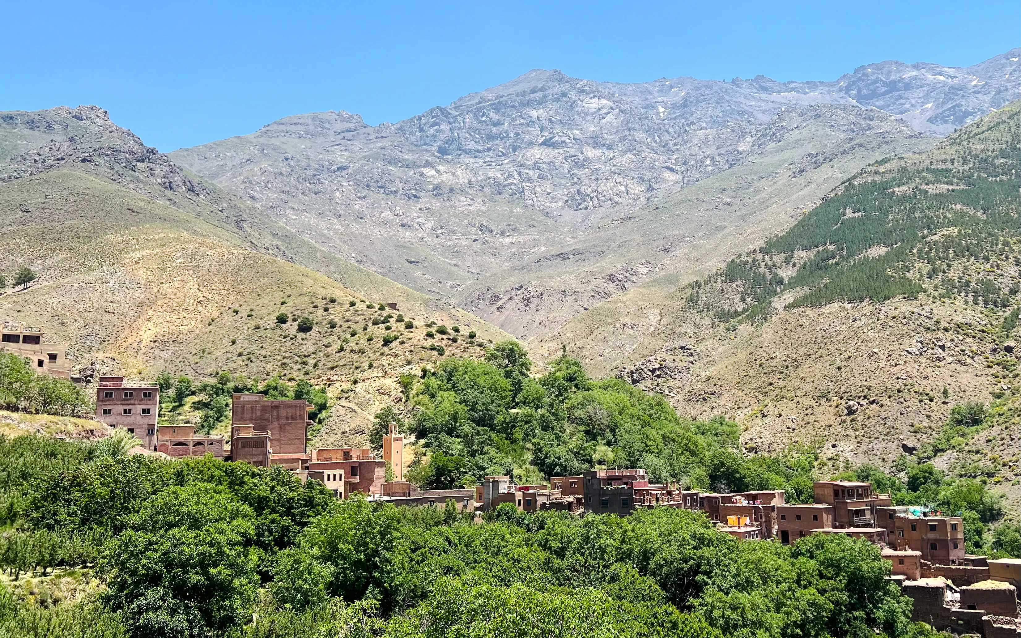 Full-Day Talamrout Summit Hike from Marrakech