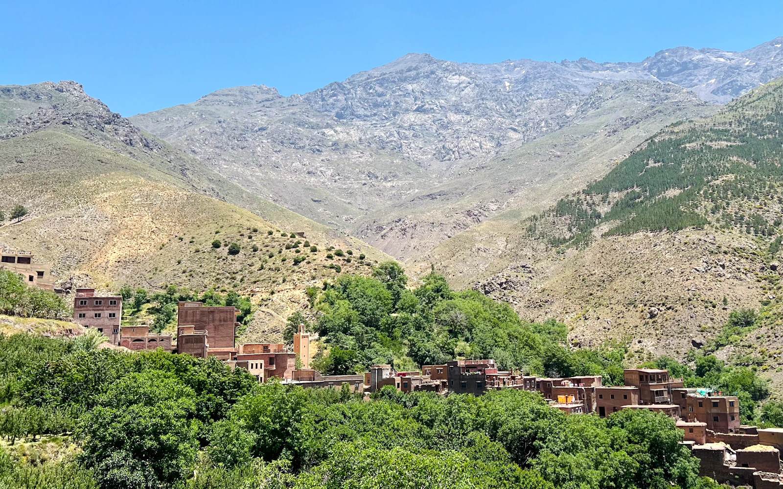 From Marrakesh: Talamrout Summit Day Hike (Product 54154)